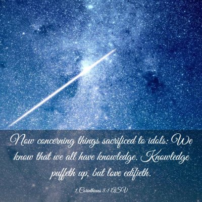 Picture 03 - 1 Corinthians 8:1 ASV - Now concerning things sacrificed to idols: We - Bible Verse Picture