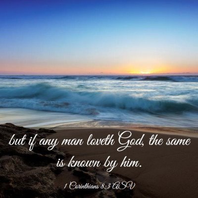 Picture 03 - 1 Corinthians 8:3 ASV - but if any man loveth God, the same is known by - Bible Verse Picture