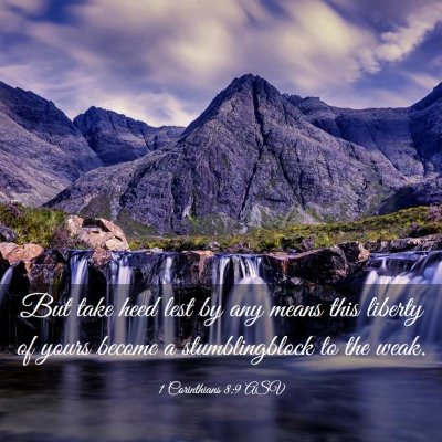 Picture 03 - 1 Corinthians 8:9 ASV - But take heed lest by any means this liberty of - Bible Verse Picture