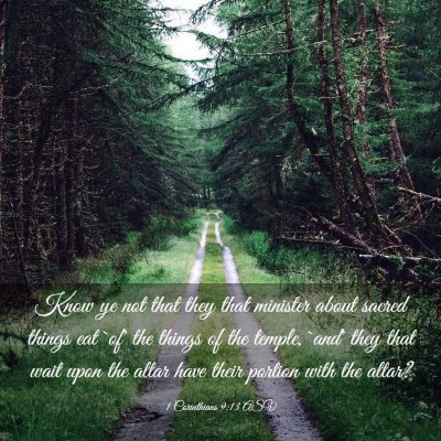 Picture 03 - 1 Corinthians 9:13 ASV - Know ye not that they that minister about sacred - Bible Verse Picture