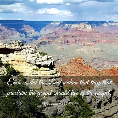Picture 03 - 1 Corinthians 9:14 ASV - Even so did the Lord ordain that they that - Bible Verse Picture