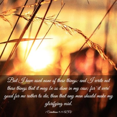 Picture 03 - 1 Corinthians 9:15 ASV - But I have used none of these things: and I write - Bible Verse Picture