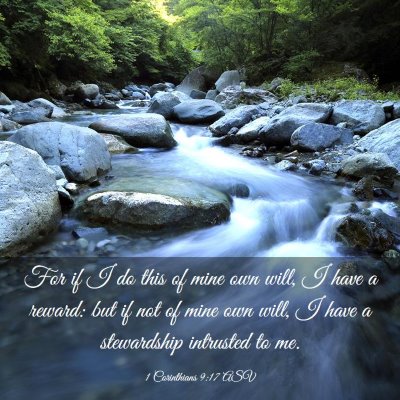 Picture 03 - 1 Corinthians 9:17 ASV - For if I do this of mine own will, I have a - Bible Verse Picture