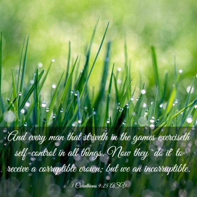 Picture 03 - 1 Corinthians 9:25 ASV - And every man that striveth in the games - Bible Verse Picture