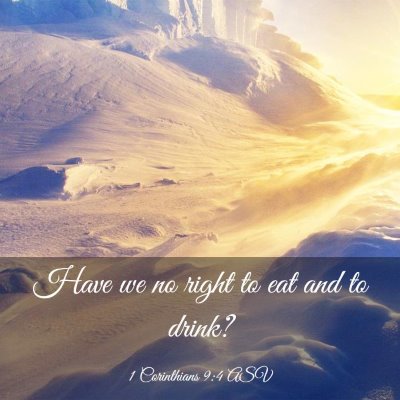 Picture 03 - 1 Corinthians 9:4 ASV - Have we no right to eat and to - Bible Verse Picture