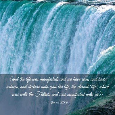 Picture 03 - 1 John 1:2 ASV - (and the life was manifested, and we have seen, - Bible Verse Picture