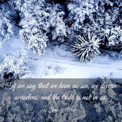 Picture 03 - 1 John 1:8 ASV - If we say that we have no sin, we deceive - Bible Verse Picture