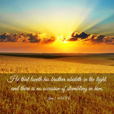 Picture 03 - 1 John 2:10 ASV - He that loveth his brother abideth in the light, - Bible Verse Picture
