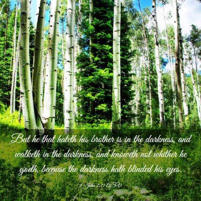 Picture 03 - 1 John 2:11 ASV - But he that hateth his brother is in the - Bible Verse Picture