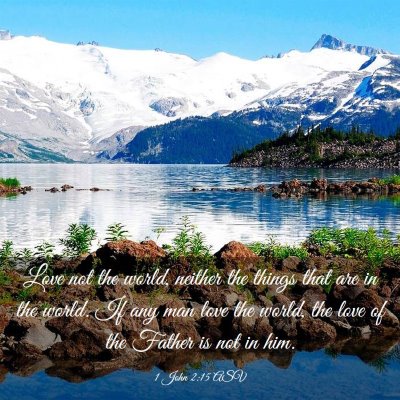 Picture 03 - 1 John 2:15 ASV - Love not the world, neither the things that are - Bible Verse Picture