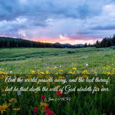 Picture 03 - 1 John 2:17 ASV - And the world passeth away, and the lust thereof: - Bible Verse Picture