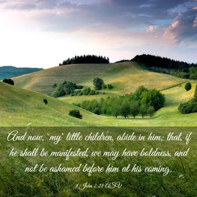 Picture 03 - 1 John 2:28 ASV - And now, `my' little children, abide in him; - Bible Verse Picture