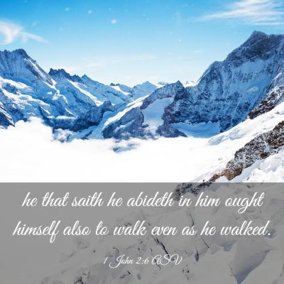 Picture 03 - 1 John 2:6 ASV - he that saith he abideth in him ought himself - Bible Verse Picture