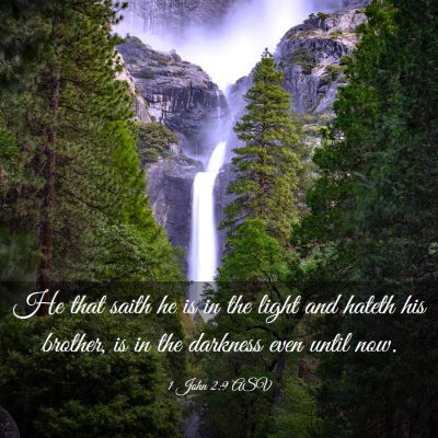 Picture 03 - 1 John 2:9 ASV - He that saith he is in the light and hateth his - Bible Verse Picture