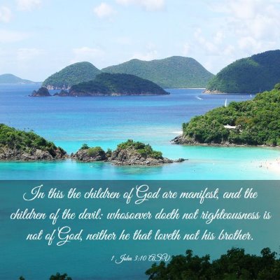 Picture 03 - 1 John 3:10 ASV - In this the children of God are manifest, and the - Bible Verse Picture