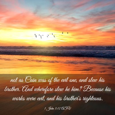 Picture 03 - 1 John 3:12 ASV - not as Cain was of the evil one, and slew his - Bible Verse Picture