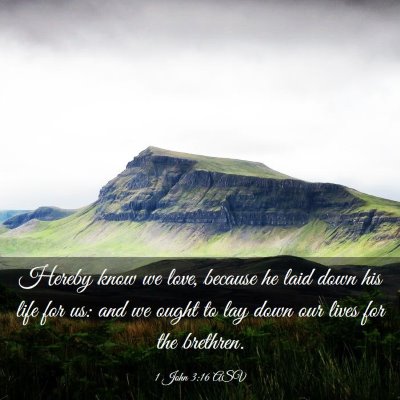 Picture 03 - 1 John 3:16 ASV - Hereby know we love, because he laid down his - Bible Verse Picture