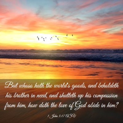 Picture 03 - 1 John 3:17 ASV - But whoso hath the world's goods, and beholdeth - Bible Verse Picture