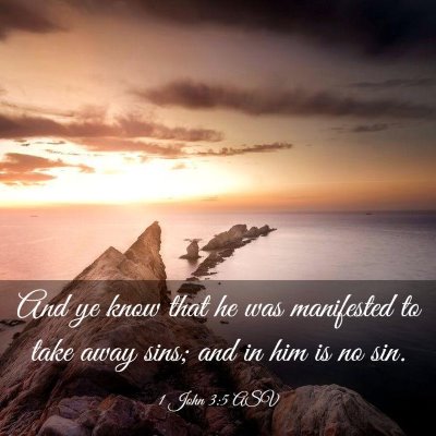 Picture 03 - 1 John 3:5 ASV - And ye know that he was manifested to take away - Bible Verse Picture