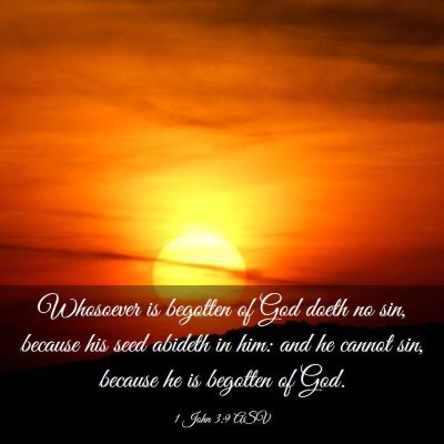Picture 03 - 1 John 3:9 ASV - Whosoever is begotten of God doeth no sin, - Bible Verse Picture