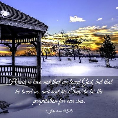 Picture 03 - 1 John 4:10 ASV - Herein is love, not that we loved God, but that - Bible Verse Picture