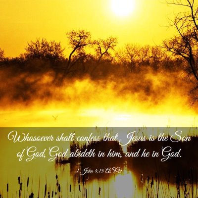 Picture 03 - 1 John 4:15 ASV - Whosoever shall confess that Jesus is the Son of - Bible Verse Picture
