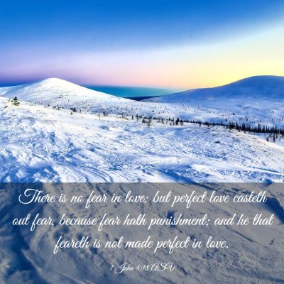 Picture 03 - 1 John 4:18 ASV - There is no fear in love: but perfect love - Bible Verse Picture