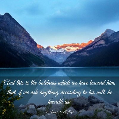 Picture 03 - 1 John 5:14 ASV - And this is the boldness which we have toward - Bible Verse Picture