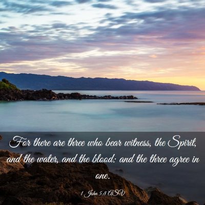 Picture 03 - 1 John 5:8 ASV - For there are three who bear witness, the Spirit, - Bible Verse Picture