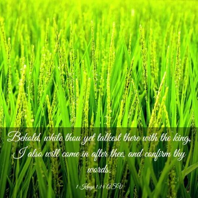 Picture 03 - 1 Kings 1:14 ASV - Behold, while thou yet talkest there with the - Bible Verse Picture