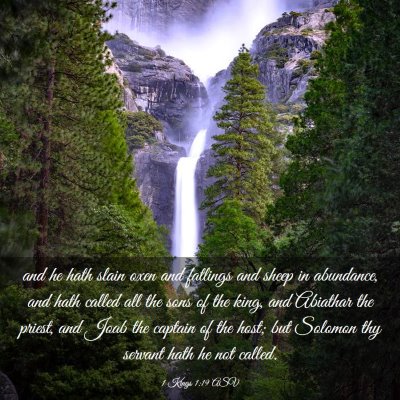 Picture 03 - 1 Kings 1:19 ASV - and he hath slain oxen and fatlings and sheep in - Bible Verse Picture