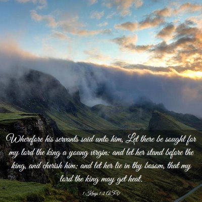 Picture 03 - 1 Kings 1:2 ASV - Wherefore his servants said unto him, Let there - Bible Verse Picture