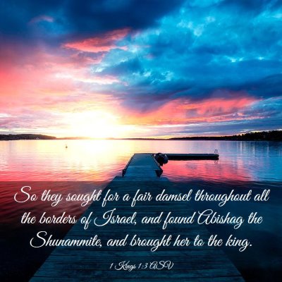 Picture 03 - 1 Kings 1:3 ASV - So they sought for a fair damsel throughout all - Bible Verse Picture