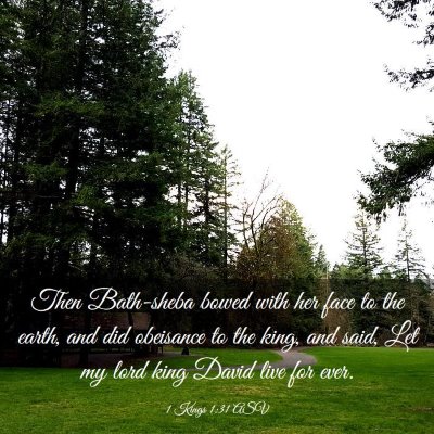 Picture 03 - 1 Kings 1:31 ASV - Then Bath-sheba bowed with her face to the earth, - Bible Verse Picture
