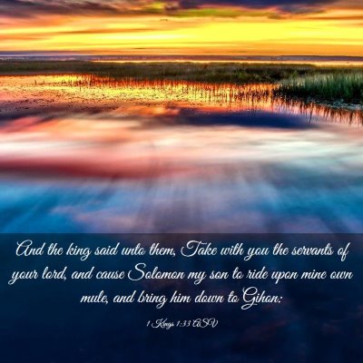Picture 03 - 1 Kings 1:33 ASV - And the king said unto them, Take with you the - Bible Verse Picture