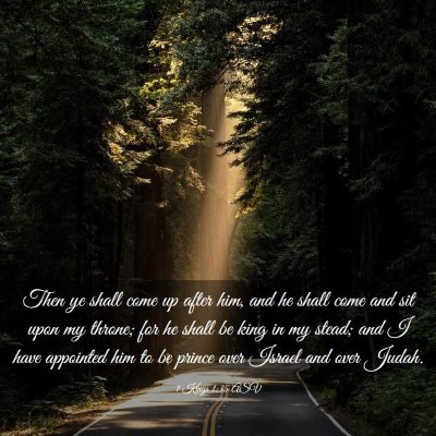 Picture 03 - 1 Kings 1:35 ASV - Then ye shall come up after him, and he shall - Bible Verse Picture