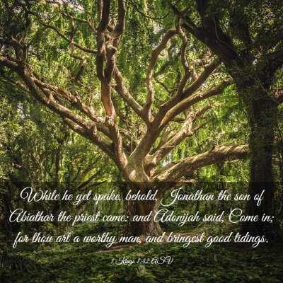 Picture 03 - 1 Kings 1:42 ASV - While he yet spake, behold, Jonathan the son of - Bible Verse Picture