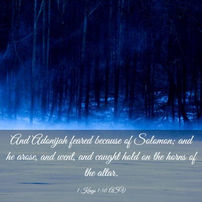 Picture 03 - 1 Kings 1:50 ASV - And Adonijah feared because of Solomon; and he - Bible Verse Picture