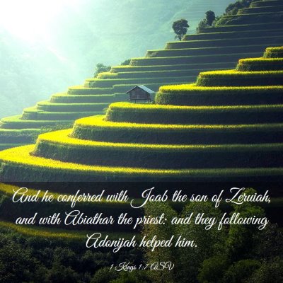 Picture 03 - 1 Kings 1:7 ASV - And he conferred with Joab the son of Zeruiah, - Bible Verse Picture