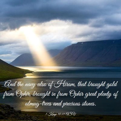 Picture 03 - 1 Kings 10:11 ASV - And the navy also of Hiram, that brought gold - Bible Verse Picture