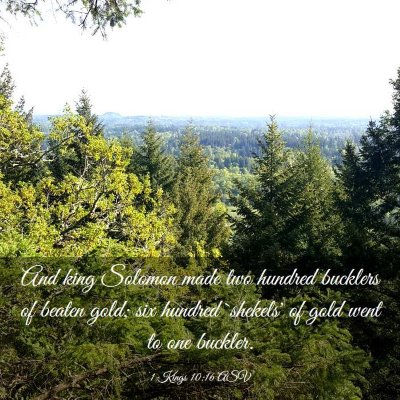 Picture 03 - 1 Kings 10:16 ASV - And king Solomon made two hundred bucklers of - Bible Verse Picture