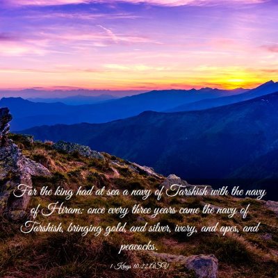 Picture 03 - 1 Kings 10:22 ASV - For the king had at sea a navy of Tarshish with - Bible Verse Picture