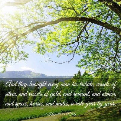 Picture 03 - 1 Kings 10:25 ASV - And they brought every man his tribute, vessels - Bible Verse Picture