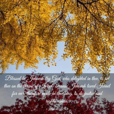 Picture 03 - 1 Kings 10:9 ASV - Blessed be Jehovah thy God, who delighted in - Bible Verse Picture