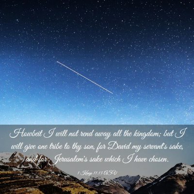 Picture 03 - 1 Kings 11:13 ASV - Howbeit I will not rend away all the kingdom; but - Bible Verse Picture