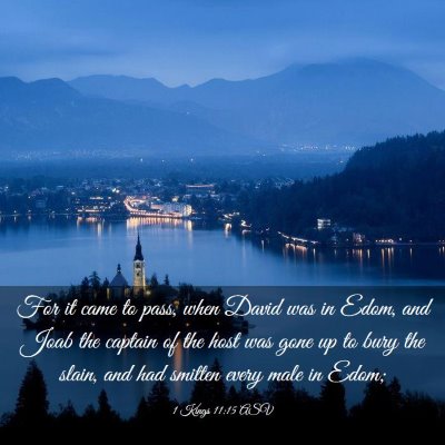 Picture 03 - 1 Kings 11:15 ASV - For it came to pass, when David was in Edom, and - Bible Verse Picture