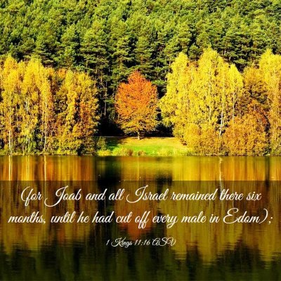 Picture 03 - 1 Kings 11:16 ASV - (for Joab and all Israel remained there six - Bible Verse Picture
