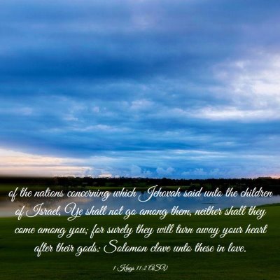 Picture 03 - 1 Kings 11:2 ASV - of the nations concerning which Jehovah said unto - Bible Verse Picture