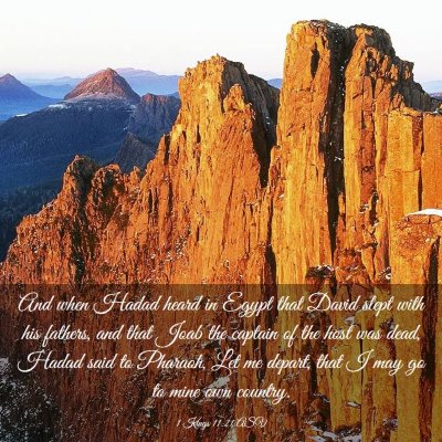 Picture 03 - 1 Kings 11:21 ASV - And when Hadad heard in Egypt that David slept - Bible Verse Picture