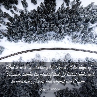 Picture 03 - 1 Kings 11:25 ASV - And he was an adversary to Israel all the days of - Bible Verse Picture